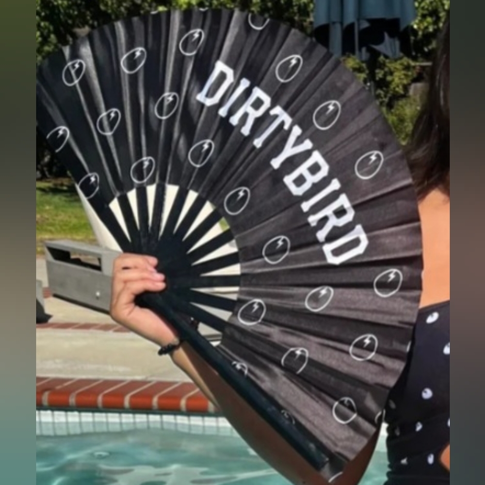 ESO Dirtybird fan 2019